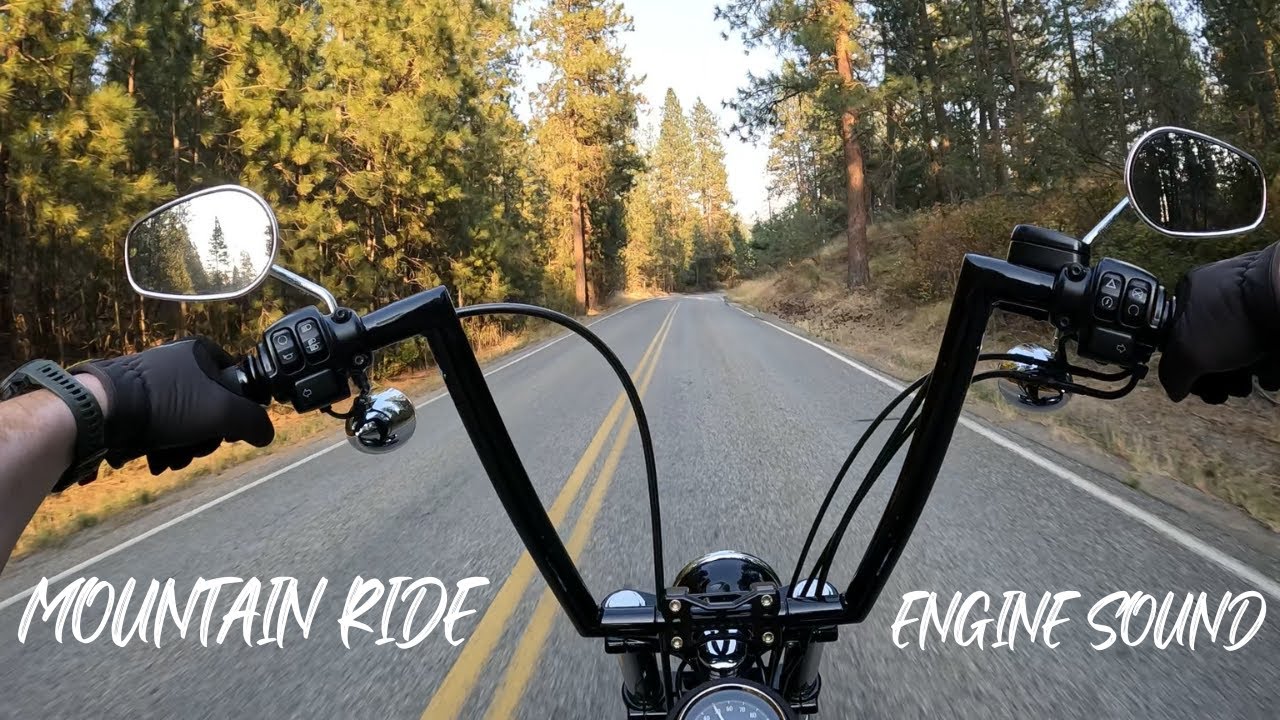 Harley-Davidson Street Bob Vance and Hines exhaust