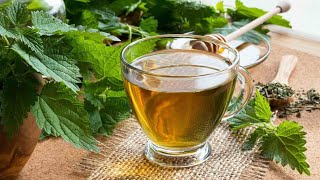 बिच्छू बूटी की चाय पीने से दूर होते हैं ये रोग | Nettle Tea Health Benefits