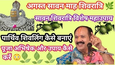अगस्त सावन शिवरात्रि को पार्थिव शिवलिंग कैसे बनाएं , पूजन अभिषेक और उपाय कैसे करें 🙏 प्रदीप मिसरा