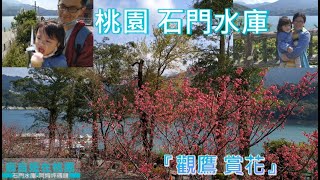 《戶外景點》桃園版日月潭-石門水庫及阿姆坪碼頭