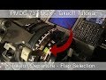 PMDG 737 NGX - REAL BOEING PILOT - Takeoff Flap Selection