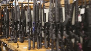 How the Gun Control Debate Could Affect the 2018 Midterms