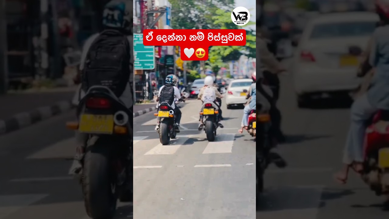 ඒ දෙන්නා නම් පිස්සුවක් 🤍😍"Srilanka Bike Stunt #trending #fypシ #foryou #highlights #support #shor