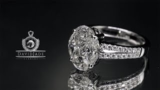 Athlete Statistics David Jade: The Circle of Life Ring