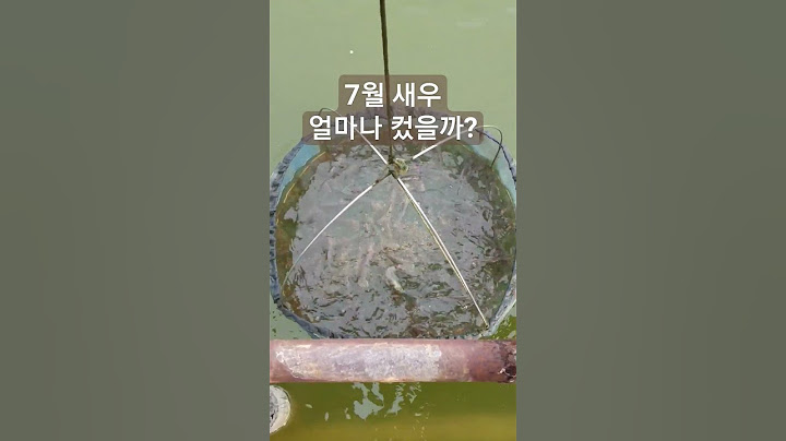 하루 5번 체크합니다 #새우양식장 #귀촌일상 #흰다리새우