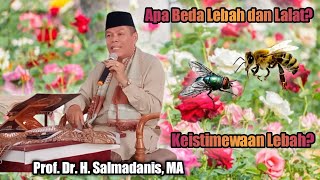 Tafsir Surat An Nahl Ayat 68-70 : Lebah dan keistimewaannya
