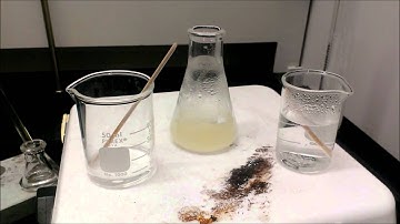 Spinning Erlenmeyer Flask