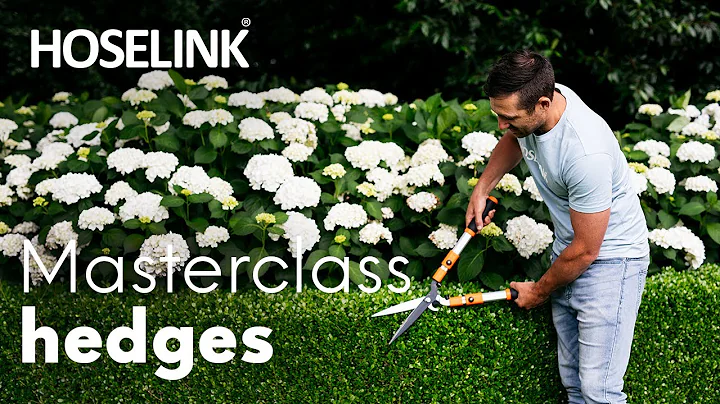 Hedges Masterclass with Horticulturist Ben Hayman ...