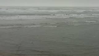 Dirty Three - The Restless Waves