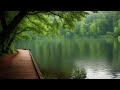 Beautiful relaxing music for stress relief  stress relief music playlist