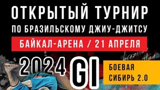 Аветисян Давид | Турнир по бразильскому джиу-джитсу 21 апреля 2014 года | Иркутск