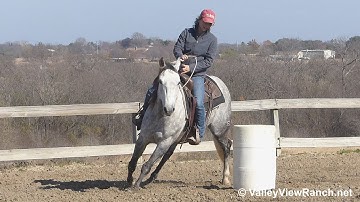 More Cat Less Mouse - bridleless running the barrels!  - ValleyViewRanch.net
