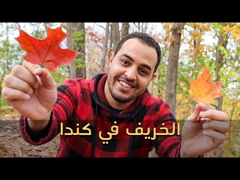 جولة في الحدائق و الغابات في كندا في فصل الخريف و تصوير الدرون يا نهار الوان