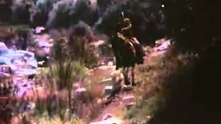 Pollution Keep America Beautiful Horseback