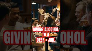 6 Animal Laws That Are So Stupid They Should Be Banned