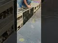 Perfect Formwork in Tight Spaces! Workers’ Composite Board Installation Skills Are Amazing
