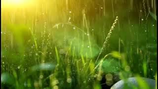 instrumen Piano suara hujan petir