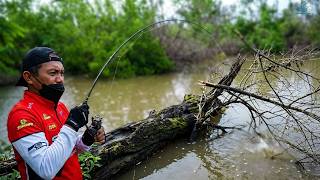 Fishing a Stunning Hidden Pond (Until My Lure Got Snagged!)