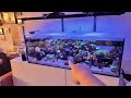 Waterbox 1054 saltwater aquarium reef tank update february 2024 update