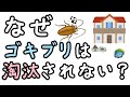 【キモすぎ】ゴキブリはなぜ3億年も生き残ってるの？【小学生でもわかる・ざっくり解説】