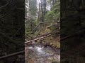 #oregon #nature #explore