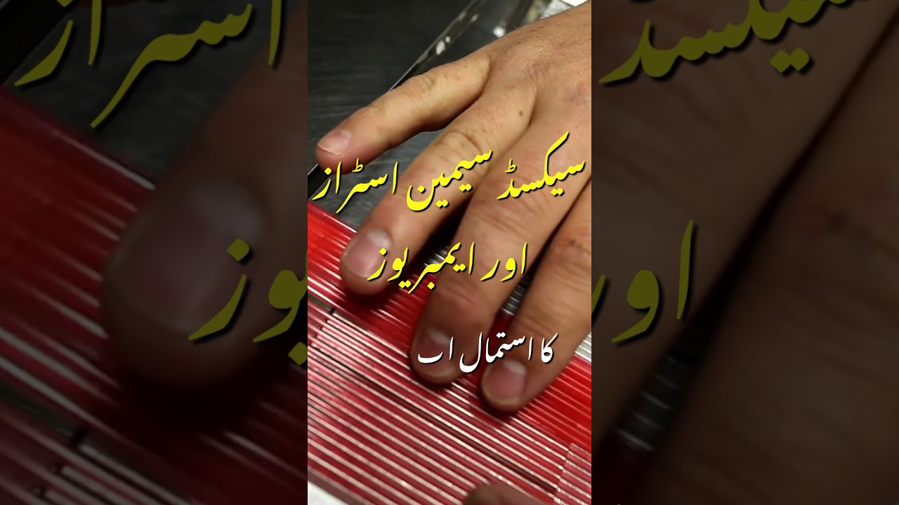 Sexed Semen Straws and Embryos