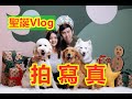 【聖誕特輯Vlog】如何給狗狗拍攝寫真~三歲輕熟女狗寫真拍攝幕後花絮大放送！