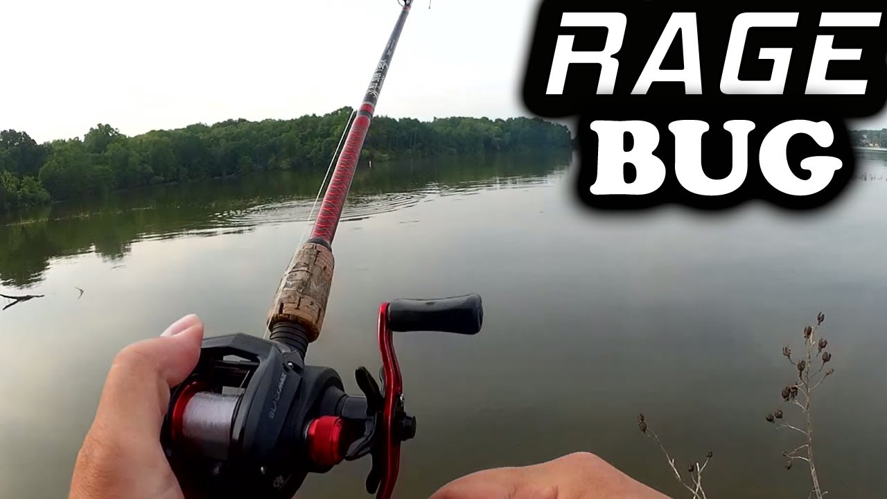 Bass Fishing With a Strike King RAGE Bug - Beginner Friendly Texas Rig 