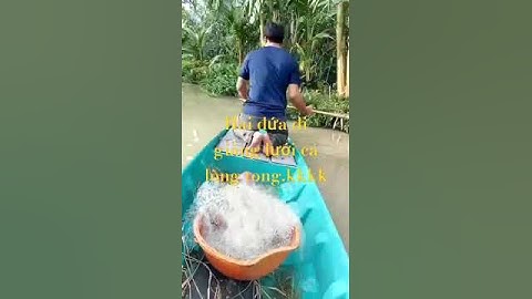 Hai vợ chồng e đi giăng lưới bắt cá lòng tong về kho tiêu kkkk