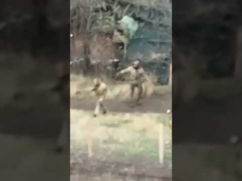 Russian soldiers survive direct hit from ukrainian kamikaze drone