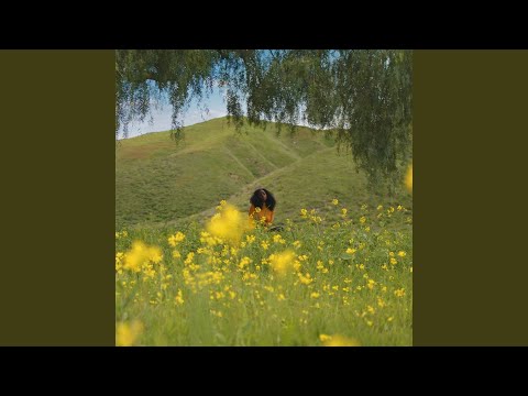 Icarus - Fana Hues