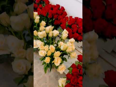 500   ورد جوري