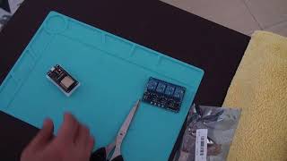 ESP 32 damaged