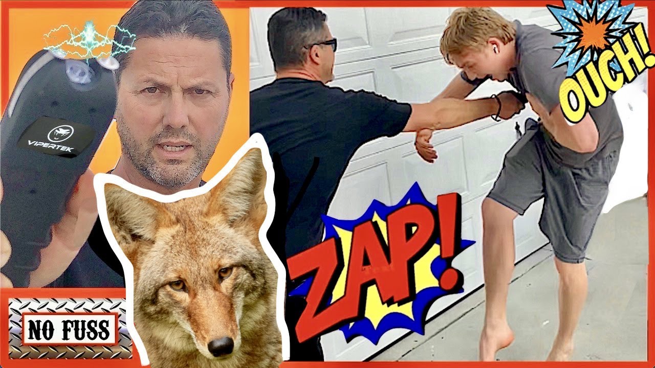Stun Gun in Action Coyotes Self Defense No Fuss YouTube