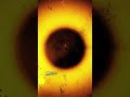 Black Holes Can Slow Time
