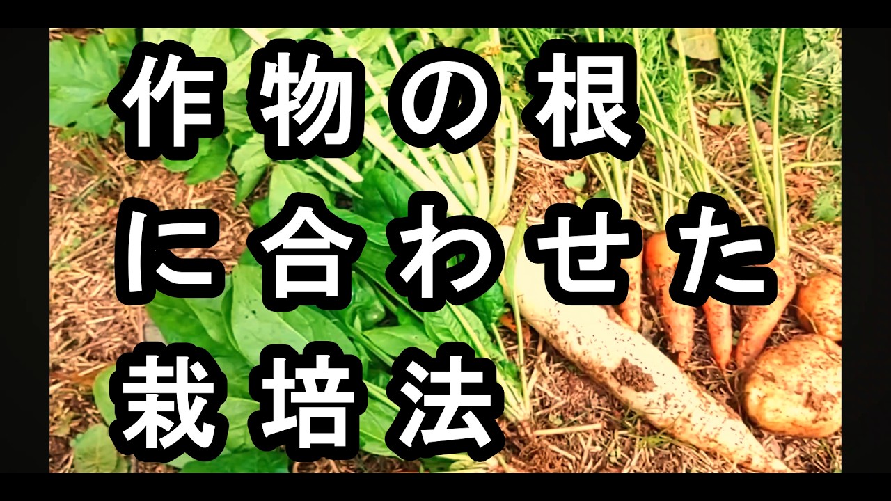 作物の根に合わせた栽培方法　土を育てながら対策