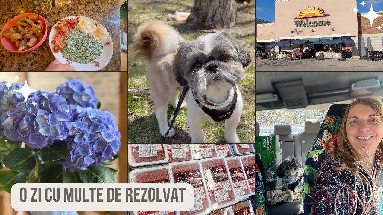 Trimit pachetul in România/îl duc pe Caden la groomer/shopping/Haul alimentar