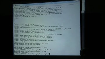 Valgrind, GDB, and friends - Part 8 / 15