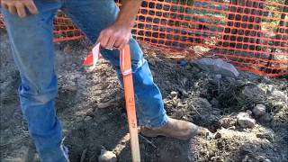 Grading Stakes