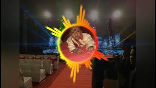 O rangu rangu chilaka Telugu DJ song