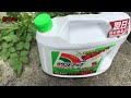 除草剤～ラウンドアップ効果