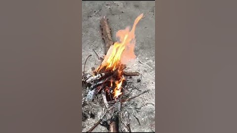 تلاوت قرآن كريم سعد أيوب#تلاوات #قرآن #تلاوت #سعد