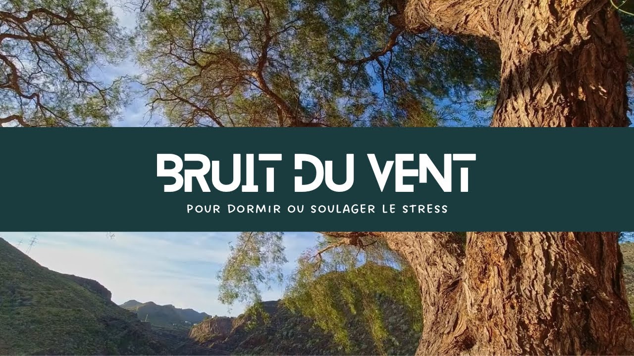 Bruit du vent relaxant pour dormir ou soulager le stress 💨 1 heure de