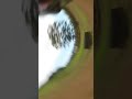 Losi Tenacity DB Pro “Dirt Track Pile Up🪨💥🏎💨🤣” | 🌋Rc Action Hawaii🌴 RC Desert Buggy