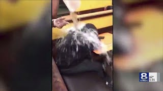 Employees fired after homeless man dunked with water at Syracuse Dunkin Donuts