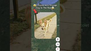 😱I Found Very Strange Dog Is The Real on Google maps and google earth 🌎 #short #JR_earth