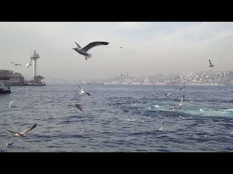 Vídeo: Els Llocs D'interès Més Interessants D'Istanbul