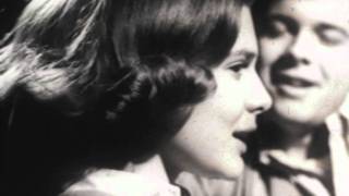 Ozon Fluid Net Hairspray Commercial 1964