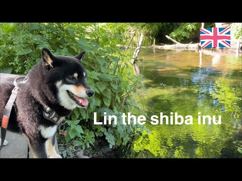 何気ない公園へ何気なく行ってもきれいで癒される散歩