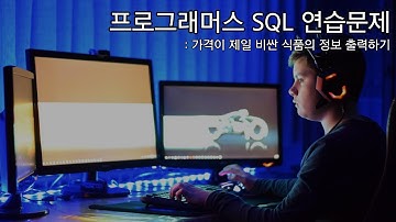 Programmers 프로그래머스 SQL 연습문제 | 가격이 제일 비싼 식품의 정보 출력하기